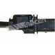 Purchase Top-Quality Oxygen Sensor by WALKER PRODUCTS - 350-35085 pa4