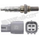 Purchase Top-Quality Oxygen Sensor by WALKER PRODUCTS - 350-64002 pa1
