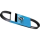 Purchase Top-Quality Belt by DAYCO - 15300 01