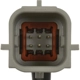 Purchase Top-Quality Park Assist Camera by BLUE STREAK (HYGRADE MOTOR) - PAC146 pa2