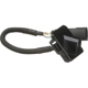 Purchase Top-Quality Park Assist Camera by BLUE STREAK (HYGRADE MOTOR) - PAC155 pa3