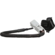 Purchase Top-Quality Park Assist Camera by BLUE STREAK (HYGRADE MOTOR) - PAC174 pa3