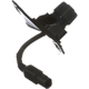 Purchase Top-Quality Park Assist Camera by BLUE STREAK (HYGRADE MOTOR) - PAC230 pa3