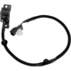 Purchase Top-Quality DORMAN - 590-459 - Park Assist Camera pa3