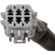 Purchase Top-Quality DORMAN - 590-617 - Park Assist Camera pa4