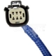Purchase Top-Quality Park Assist Camera by DORMAN (OE SOLUTIONS) - 590-106 pa1