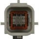 Purchase Top-Quality STANDARD - PRO SERIES - PAC116 - Park Assist Camera pa4