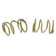 Purchase Top-Quality RAYBESTOS - H1336 - Rear Parking Brake Strut Springs pa1