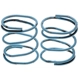 Purchase Top-Quality Parking Brake Strut Spring by RAYBESTOS - H1341 pa1