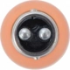 Purchase Top-Quality Parking Light by PHILIPS - 1157NACP pa2