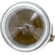 Purchase Top-Quality Parking Light by PHILIPS - 1816CP pa27