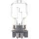 Purchase Top-Quality PHILIPS - PW24WHTRC1 - Turn Signal Light Bulb pa1