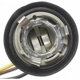 Purchase Top-Quality Parking Light Socket by ACDELCO PROFESSIONAL - LS244 pa14