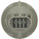 Purchase Top-Quality Parking Light Socket by BLUE STREAK (HYGRADE MOTOR) - S1690 pa1