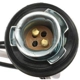 Purchase Top-Quality Parking Light Socket by BLUE STREAK (HYGRADE MOTOR) - S504 pa19