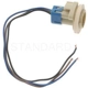 Purchase Top-Quality Parking Light Socket by BLUE STREAK (HYGRADE MOTOR) - S590 pa19