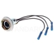 Purchase Top-Quality Parking Light Socket by BLUE STREAK (HYGRADE MOTOR) - S69 pa2