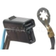 Purchase Top-Quality Parking Light Socket by BLUE STREAK (HYGRADE MOTOR) - S76 pa2