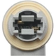 Purchase Top-Quality Parking Light Socket by BLUE STREAK (HYGRADE MOTOR) - S770 pa1