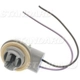 Purchase Top-Quality Parking Light Socket by BLUE STREAK (HYGRADE MOTOR) - S770 pa6