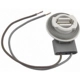 Purchase Top-Quality Parking Light Socket by BLUE STREAK (HYGRADE MOTOR) - S770 pa7