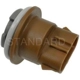 Purchase Top-Quality Parking Light Socket by BLUE STREAK (HYGRADE MOTOR) - S808 pa15