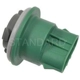 Purchase Top-Quality Parking Light Socket by BLUE STREAK (HYGRADE MOTOR) - S810 pa2