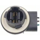 Purchase Top-Quality Parking Light Socket by BLUE STREAK (HYGRADE MOTOR) - S872 pa7