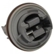 Purchase Top-Quality BWD AUTOMOTIVE - PT5589 - Tail Lamp Socket pa2