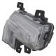 Purchase Top-Quality Passenger Side Driving Lamp by DEPO - 335-1621R-AC pa5