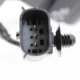 Purchase Top-Quality Lampe de conduite côté passager - GM2563107C pa5