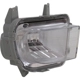 Purchase Top-Quality Passenger Side Driving Lamp - HO2563100 pa1