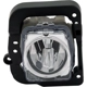 Purchase Top-Quality Passenger Side Fog Lamp Assembly - AC2593112 pa2