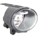 Purchase Top-Quality Passenger Side Fog Lamp Assembly - BM2593121 pa2