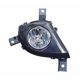 Purchase Top-Quality Passenger Side Fog Lamp Assembly - BM2593137V pa1