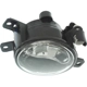 Purchase Top-Quality Passenger Side Fog Lamp Assembly - BM2593150 pa10