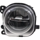 Purchase Top-Quality Passenger Side Fog Lamp Assembly - BM2593152 pa2