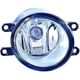Purchase Top-Quality Passenger Side Fog Lamp Assembly by DEPO - 212-2052R-ACN pa1