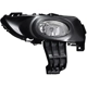 Purchase Top-Quality Passenger Side Fog Lamp Assembly by DEPO - 216-2010R-AQN pa1