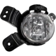 Purchase Top-Quality Passenger Side Fog Lamp Assembly by DEPO - 235-2017R-AQN pa1