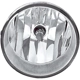 Purchase Top-Quality Passenger Side Fog Lamp Assembly by DEPO - 312-2016N-AS pa1