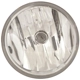 Purchase Top-Quality Passenger Side Fog Lamp Assembly by DEPO - 312-2029N-AC pa1