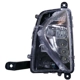 Purchase Top-Quality Passenger Side Fog Lamp Assembly by DEPO - 312-2032R-AS pa1