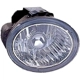 Purchase Top-Quality Passenger Side Fog Lamp Assembly by DEPO - 315-2006R-AS pa1