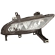 Purchase Top-Quality Passenger Side Fog Lamp Assembly by DEPO - 315-2032R-AS pa1
