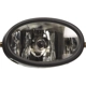 Purchase Top-Quality Passenger Side Fog Lamp Assembly by DEPO - 317-2006R-AC pa3