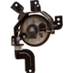 Purchase Top-Quality Passenger Side Fog Lamp Assembly by DEPO - 317-2029R-AS pa2