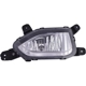 Purchase Top-Quality Passenger Side Fog Lamp Assembly by DEPO - 321-2045R-AC pa1