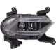 Purchase Top-Quality Passenger Side Fog Lamp Assembly by DEPO - 321-2046R-AS pa3
