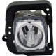 Purchase Top-Quality Passenger Side Fog Lamp Assembly by DEPO - 327-2011R-AS pa2